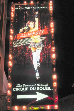 zumanity by cirque du soleil reviews