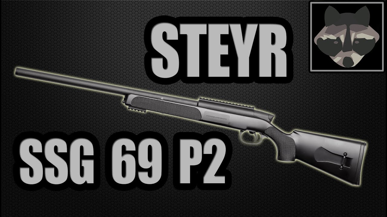 steyr ssg 69 p2 review