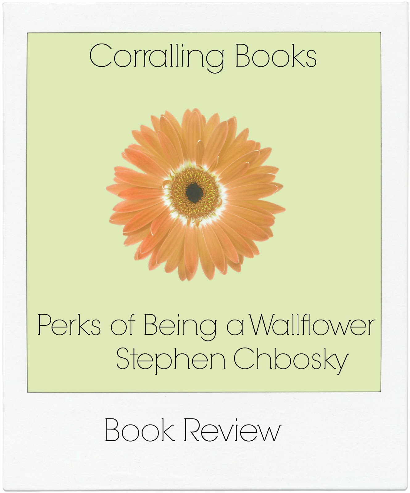perks of being a wallflower novel review