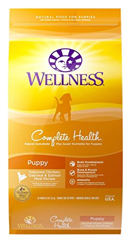 wellness complete health dog food reviews